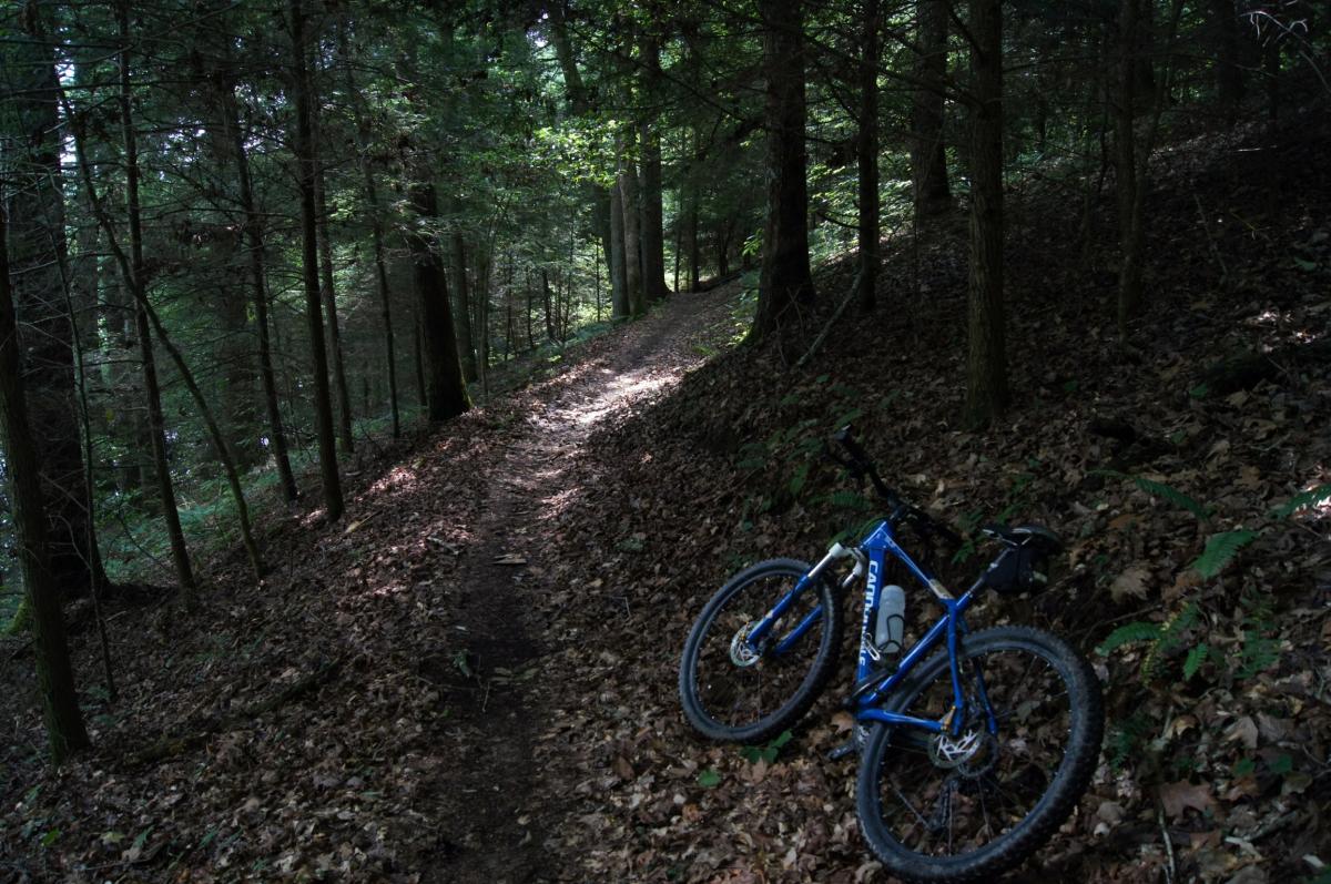 A blue mountain bike resting on a leaf-covered trail in a dense forest, with tall trees lining the path and dappled sunlight filtering through the leaves. Sheltowee Trace - Laurel Lake Trail mountain bike trail.