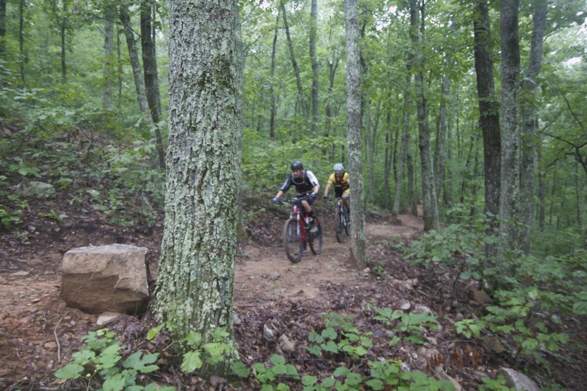 Two mountain bikers navigate a dirt trail surrounded by lush green trees and foliage. A large rock is visible on the left side of the image, while the trail winds through the forest. Coldwater Mountain mountain bike trail.