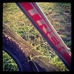 Trek 3500: A close-up image of a bicycle tire resting on grass, with a portion of a bike frame visible in the foreground, featuring a red and white design. The scene captures a natural setting with soft lighting.