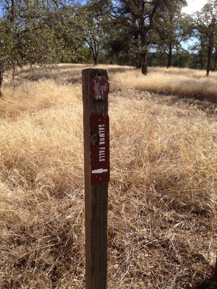 A wooden trail sign indicating the direction to Salmon Falls, surrounded by tall dry grass and a backdrop of scattered trees. The sign shows an arrow pointing left. Salmon Falls: Sweetwater Loop mountain bike trail.