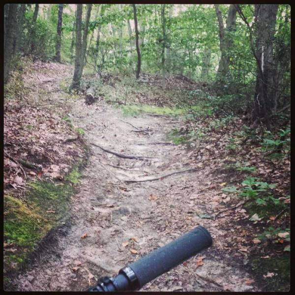 A forest trail featuring a narrow, dirt path surrounded by trees and scattered fallen leaves. The trail is uneven, with visible roots and rocks. A bicycle handlebar is partially visible in the foreground, suggesting an outdoor biking or hiking experience. Camden County College mountain bike trail.
