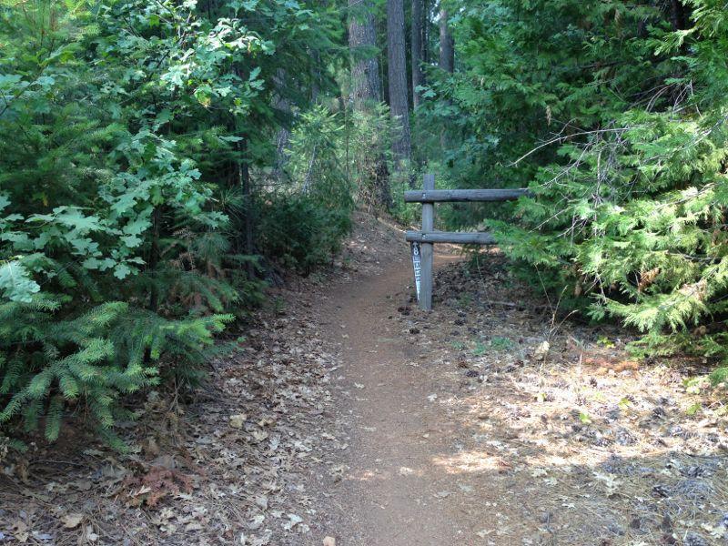 A narrow dirt path winding through a densely wooded area, flanked by green shrubs and trees. A rustic wooden gate stands at the entrance of the trail, partially open. The ground is covered with fallen leaves. Sly Park mountain bike trail.