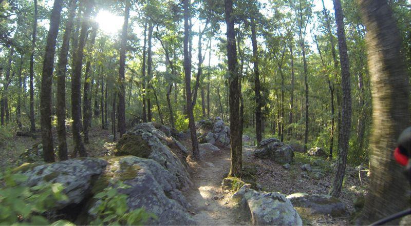 A sunlit hiking trail winding through a dense forest, surrounded by tall trees and large rocks. The path is narrow and appears well-trodden, with greenery lining the sides and dappled sunlight filtering through the leaves. Iron Mountain mountain bike trail.