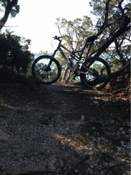 A mountain bike leaning against a tree on a narrow dirt trail, surrounded by greenery and trees. The background features a glimpse of water, suggesting a scenic outdoor environment. Dana Peak mountain bike trail.