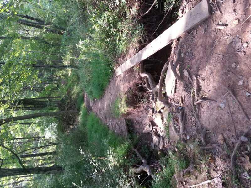 A narrow dirt path through a lush green forest, featuring a wooden bridge crossing a small ravine. The area is surrounded by trees and underbrush, with visible tree roots along the trail. Sunlight filters through the leaves, casting a dappled light on the ground. Chimney Rock mountain bike trail.
