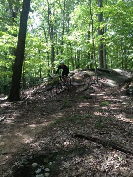 A mountain biker navigating a rocky trail in a lush, green forest, surrounded by trees and dappled sunlight filtering through the leaves. Blue Mountain Reservation mountain bike trail.