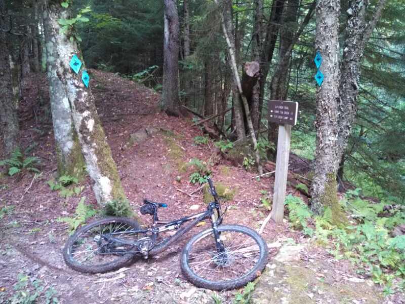 A mountain bike resting on a dirt path in a dense forest, with trail markers visible on nearby trees and a wooden signpost indicating directions. The surroundings are lush with greenery and suggest a natural hiking or biking trail. Bear Pen (modified) Loop mountain bike trail.