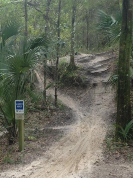 A dirt bike trail winding through a wooded area, surrounded by trees and palms. A sign indicating trail conditions is visible on the left side of the path. The trail features a series of small hills and a sandy surface, suggesting it's intended for off-road biking. Alafia River State Park mountain bike trail.