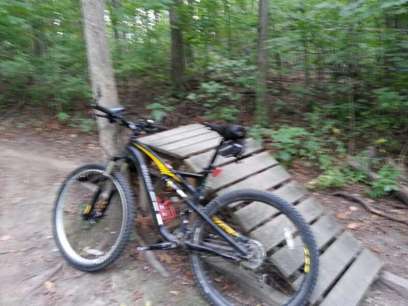 A mountain bike leaning against a wooden ramp in a wooded area, with greenery in the background. The image appears slightly blurred. Franke Park mountain bike trail.