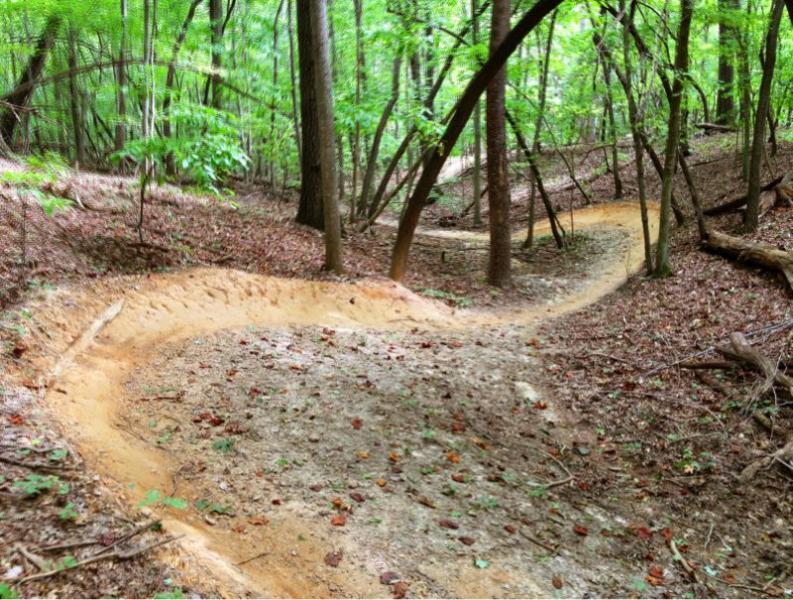 A winding dirt trail through a lush green forest, surrounded by trees. The path showcases a gentle curve with scattered leaves and earthy tones along the ground. Country Park mountain bike trail.
