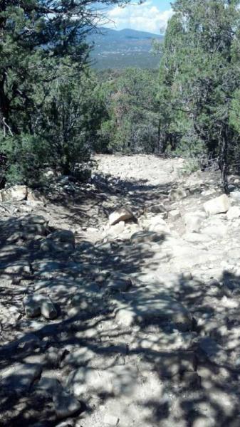 A rocky trail winding downhill through a forested area, surrounded by trees and distant mountains visible in the background. The ground is uneven and strewn with stones and boulders. Sunlight filters through the trees, casting shadows across the path. Chamisoso Trail mountain bike trail.