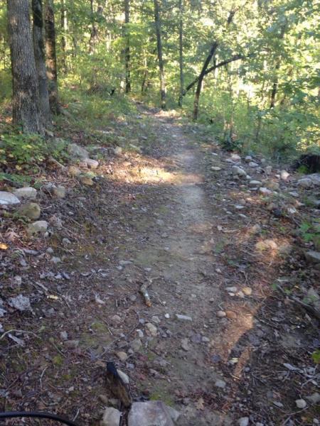 A narrow dirt path winding through a wooded area, surrounded by trees and small rocks. Sunlight filters through the leaves, creating a dappled light effect on the ground. Iron Mountain mountain bike trail.