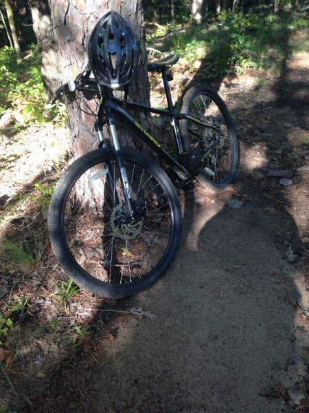 A black mountain bike leaning against a tree on a forested path, with a helmet placed on the handlebars. Sunlight filters through the trees, casting shadows on the ground. Iron Mountain mountain bike trail.