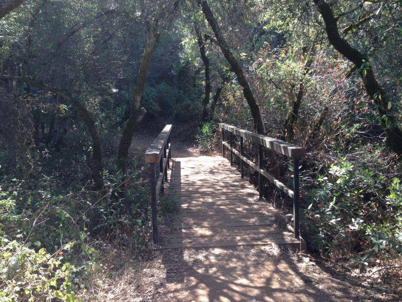 A wooden footbridge surrounded by lush greenery, leading through a shaded, natural setting in a forest. The sunlight filters through the trees, casting soft shadows on the pathway. Clementine / Forresthill Connector Trail mountain bike trail.