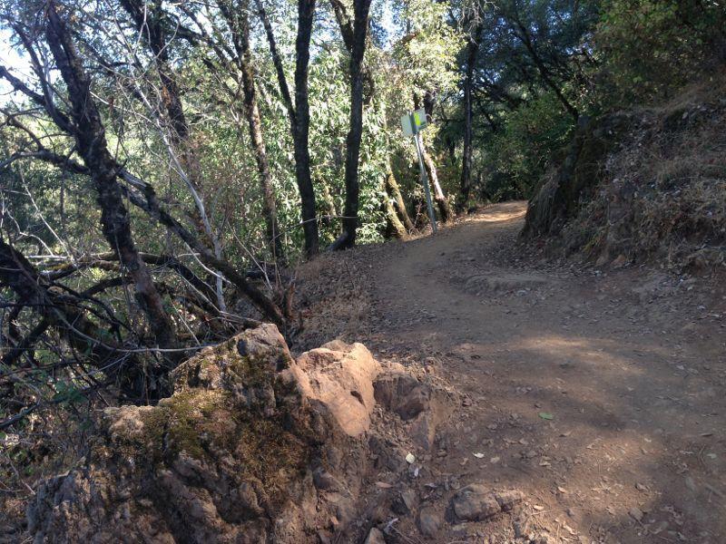 A winding dirt path surrounded by trees and foliage, with a rocky edge on one side and a trail marker in the background. The ground is dry and covered with fallen leaves, suggesting a natural outdoor setting. Clementine / Forresthill Connector Trail mountain bike trail.