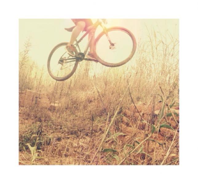 A person riding a bicycle jumps over a small obstacle in a grassy field, capturing a moment of motion and excitement. The scene is illuminated by warm sunlight, creating a vibrant atmosphere. Signal Hill mountain bike trail.