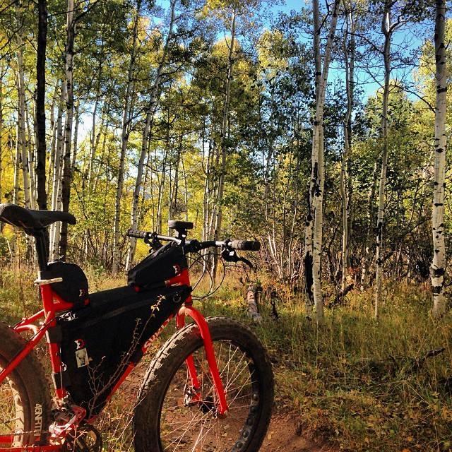 A bright red mountain bike stands on a trail surrounded by tall aspen trees with lush green foliage. The scene is set in a vibrant forest under a clear blue sky, highlighting the natural beauty of the outdoor environment. Colorado Trail: Green Mountain mountain bike trail.