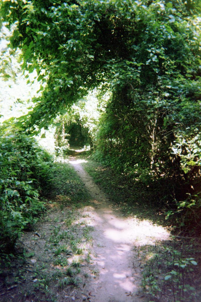 A narrow dirt path winding through a lush green tunnel formed by overhanging trees and foliage, illuminated by dappled sunlight. The pathway is bordered by dense vegetation on both sides, inviting exploration into the serene natural surroundings. Springhill Park mountain bike trail.