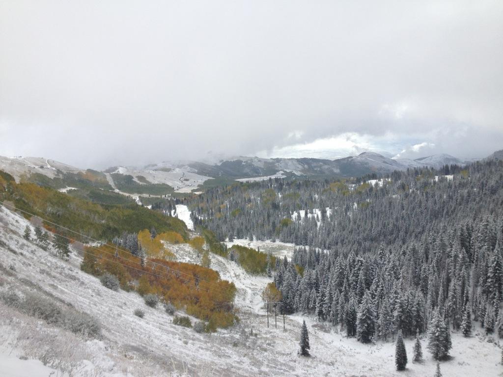 A panoramic view of a snowy mountain landscape, featuring a mix of evergreen trees blanketed in snow and patches of vibrant autumn foliage. The scene is set under a cloudy sky, with distant mountains visible in the background, creating a serene and picturesque winter atmosphere. Scott's Bypass mountain bike trail.