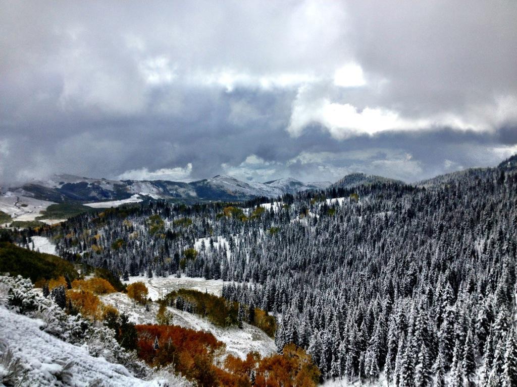 A panoramic view of a snowy mountainous landscape, featuring evergreen trees dusted with snow, patches of autumn foliage in vibrant oranges and yellows, and a dramatic sky filled with gray clouds. Scott