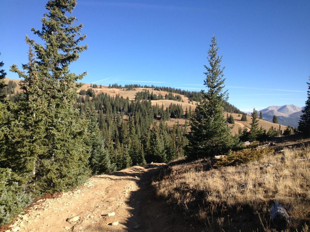 A dirt trail winding through a forested area, bordered by tall evergreen trees. The path leads toward a hilly landscape with patches of grass and distant mountains under a clear blue sky. Monarch Crest Trail mountain bike trail.