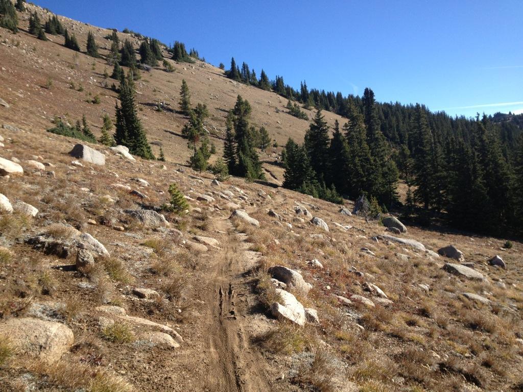 A dirt path winding through a mountainous landscape, surrounded by rocky terrain and patches of grass. Evergreen trees line the slope on the right, under a clear blue sky. The scene captures the natural beauty of a hiking or biking trail in a wilderness area. Monarch Crest Trail mountain bike trail.