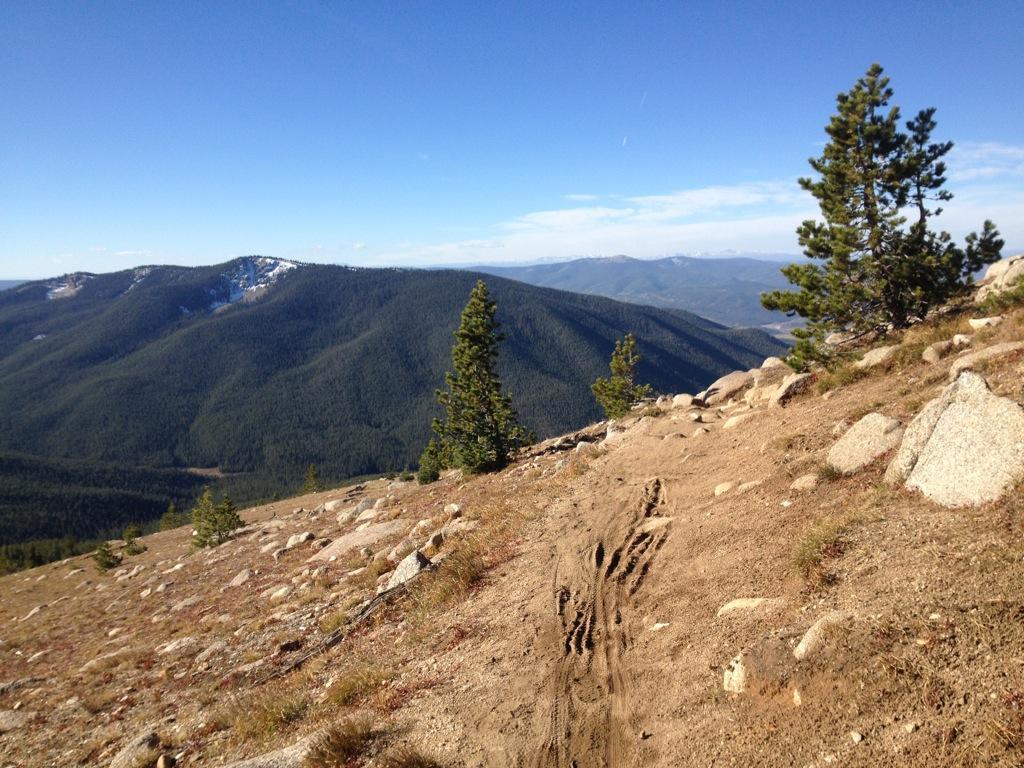 A scenic view from a mountain ridge, showcasing rolling hills covered in coniferous trees, rocky terrain, and a clear blue sky. The foreground features a dirt path with tire tracks, leading deeper into the landscape, while distant mountains rise in the background, some capped with snow. Monarch Crest Trail mountain bike trail.