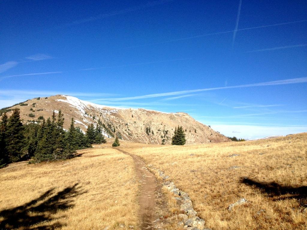 A scenic view of a mountain landscape under a clear blue sky, featuring a winding dirt path leading through a grassy area with scattered trees. Snow-capped peaks are visible in the distance, creating a serene and picturesque outdoor setting. Monarch Crest Trail mountain bike trail.