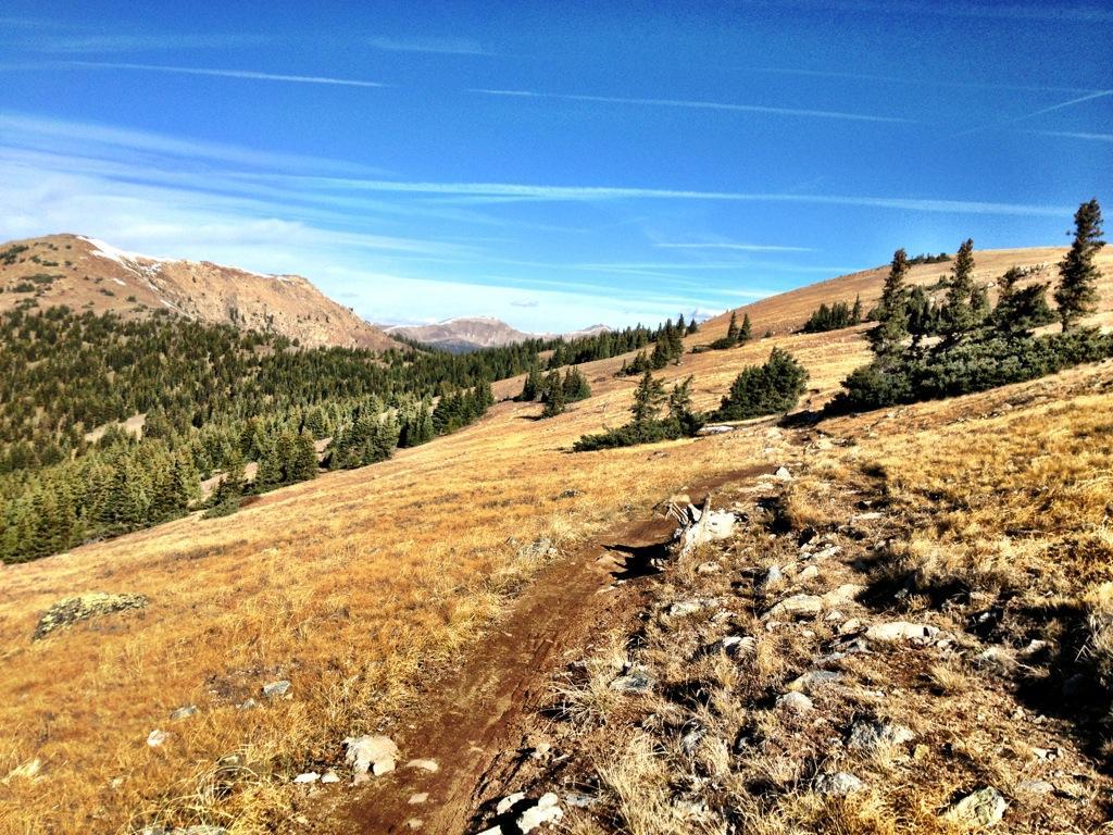 A scenic mountain landscape featuring a dirt trail winding through golden grasslands and patches of evergreen trees, surrounded by rolling hills and distant mountains under a clear blue sky. Monarch Crest Trail mountain bike trail.