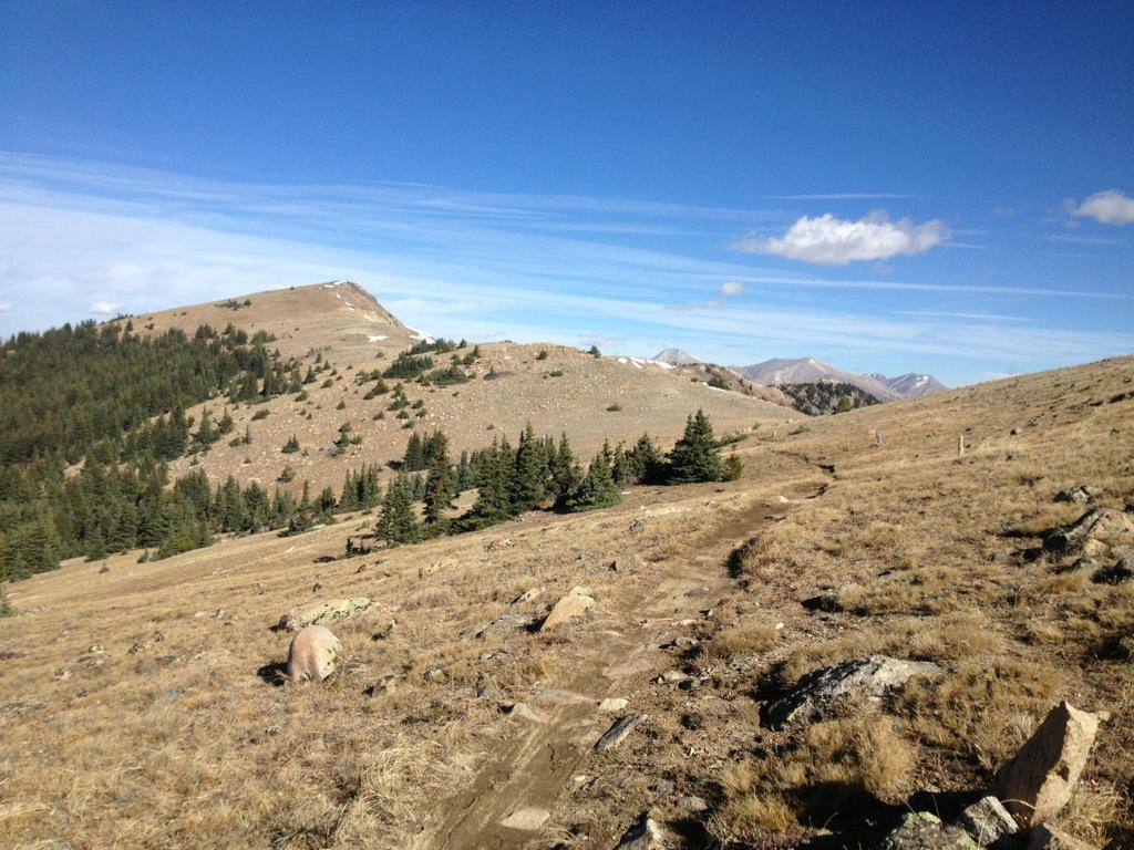 A scenic mountain landscape featuring rolling hills, patches of evergreen trees, and rocky outcrops under a clear blue sky with wispy clouds. The foreground includes a dirt path winding through the grass, leading toward distant snow-capped peaks. Monarch Crest Trail mountain bike trail.