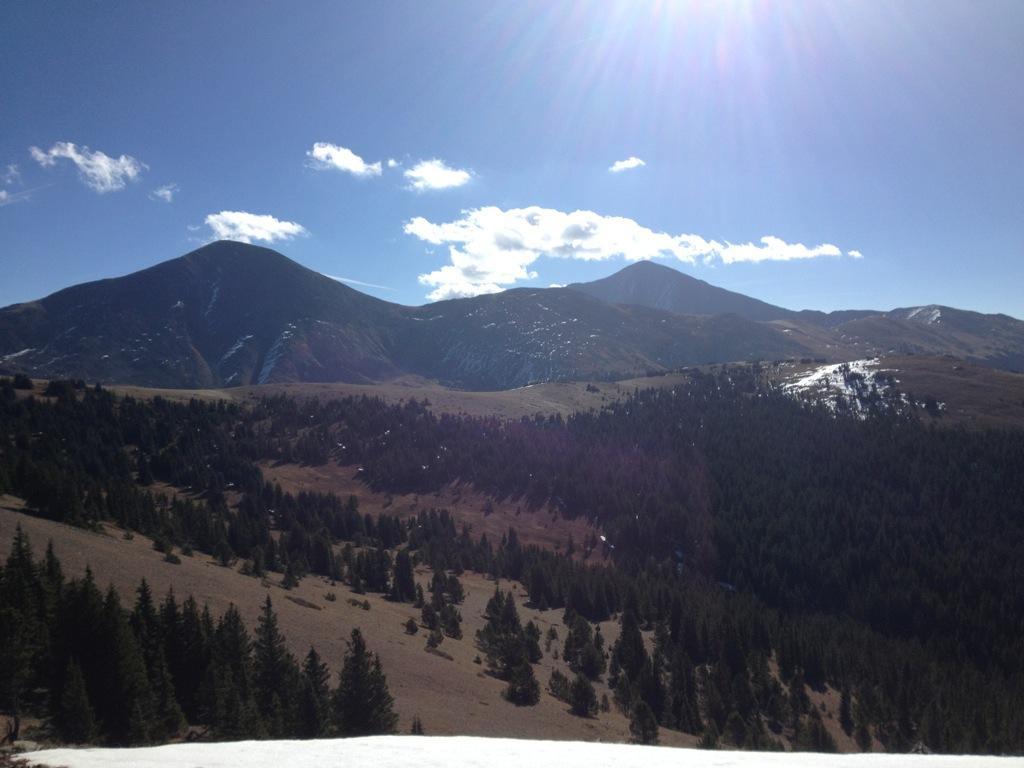A panoramic view of snow-capped mountains under a clear blue sky, with scattered clouds. The foreground features a forested area with densely packed evergreen trees, transitioning into open grassy land. The sunlight casts a bright glare over the landscape, highlighting the natural beauty of the mountainous terrain. Monarch Crest Trail mountain bike trail.