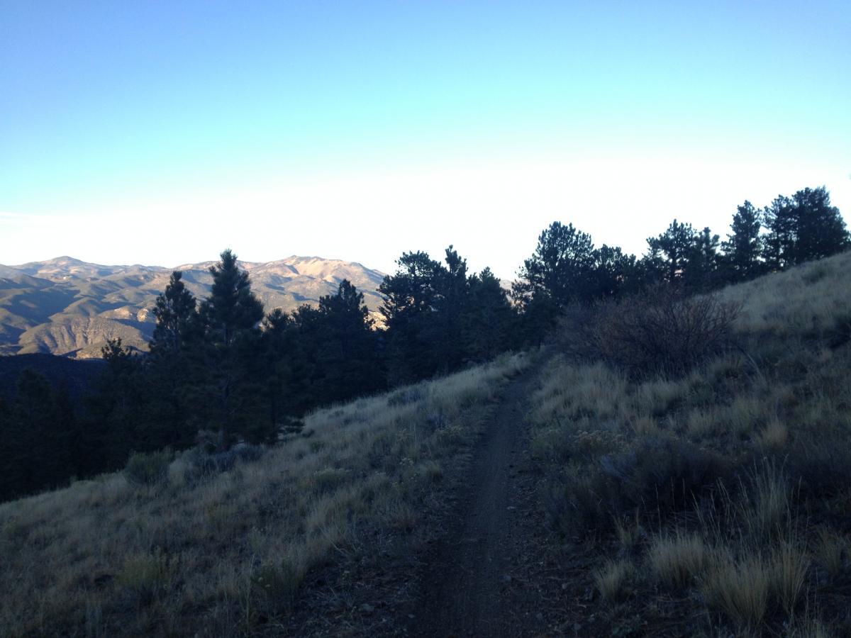 A winding dirt trail leads through a landscape of tall grass and shrubs, framed by pine trees on either side. In the background, rolling mountains create a scenic backdrop under a clear blue sky, suggesting a serene outdoor setting perfect for hiking or exploring nature. Rainbow Trail: Methodist Mountain Thd to Bear Creek Thd mountain bike trail.