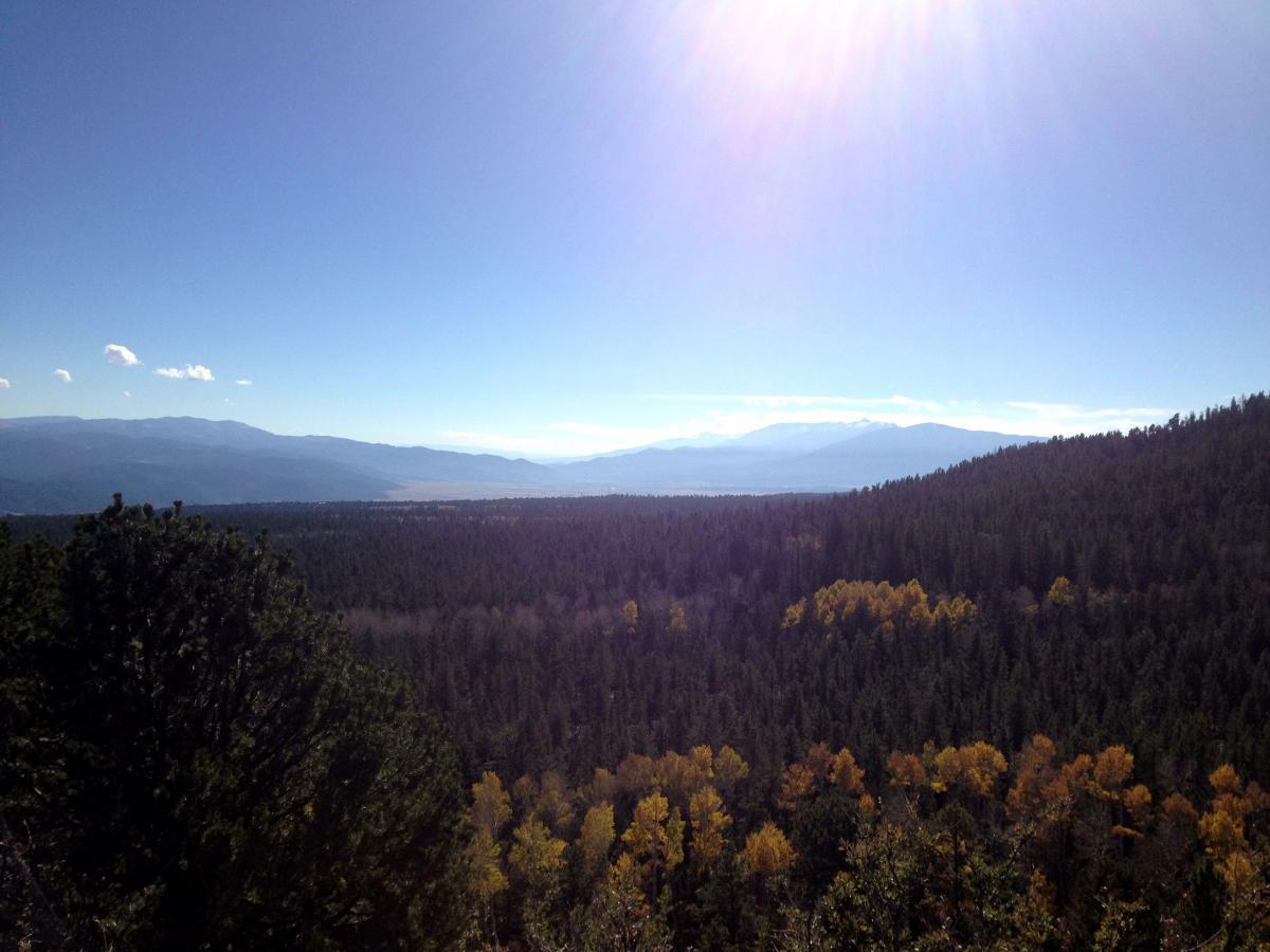 A panoramic view of a mountainous landscape under a clear blue sky. The foreground features a dense forest of evergreen trees, while patches of autumn foliage can be seen in yellow and orange. In the background, rolling mountains fade into the horizon, illuminated by sunlight. Wagon Loop mountain bike trail.