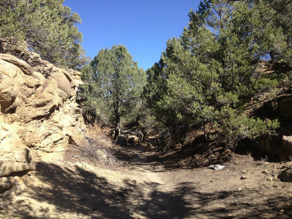 A narrow dirt trail winding through a rocky landscape, flanked by evergreen trees under a clear blue sky. Midland Hills Trails mountain bike trail.