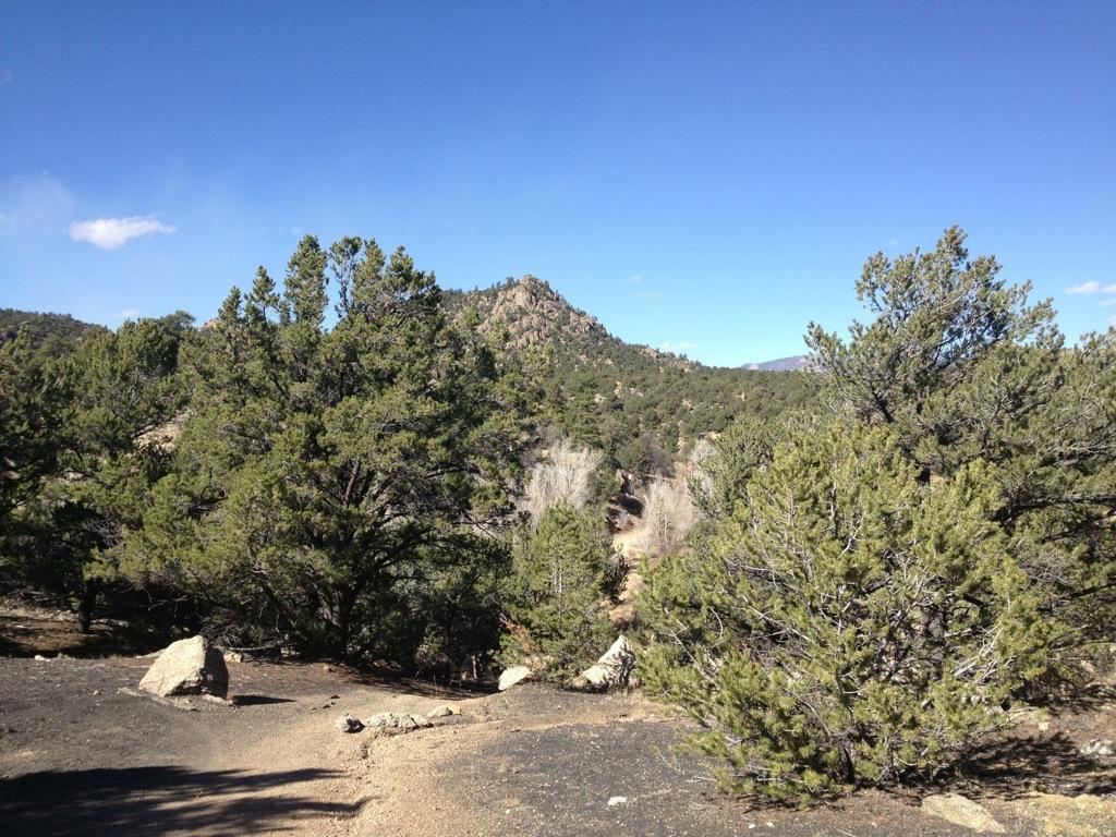 A scenic view of a mountainous landscape featuring dense green trees and rocky terrain under a clear blue sky. Midland Hills Trails mountain bike trail.
