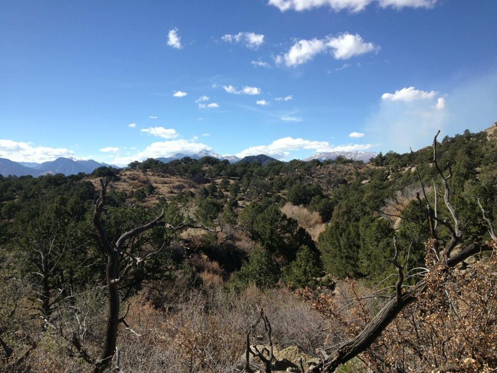 A panoramic view of a mountainous landscape featuring rolling hills, sparse vegetation, and scattered trees under a clear blue sky with a few white clouds. Snow-capped mountains can be seen in the distance, creating a serene and tranquil outdoor scene. Midland Hills Trails mountain bike trail.