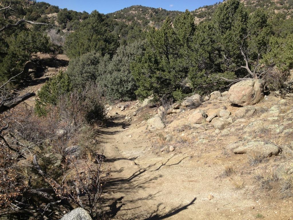 A narrow dirt trail winds through a rocky landscape, surrounded by dense greenery and scattered boulders under a clear blue sky. Midland Hills Trails mountain bike trail.