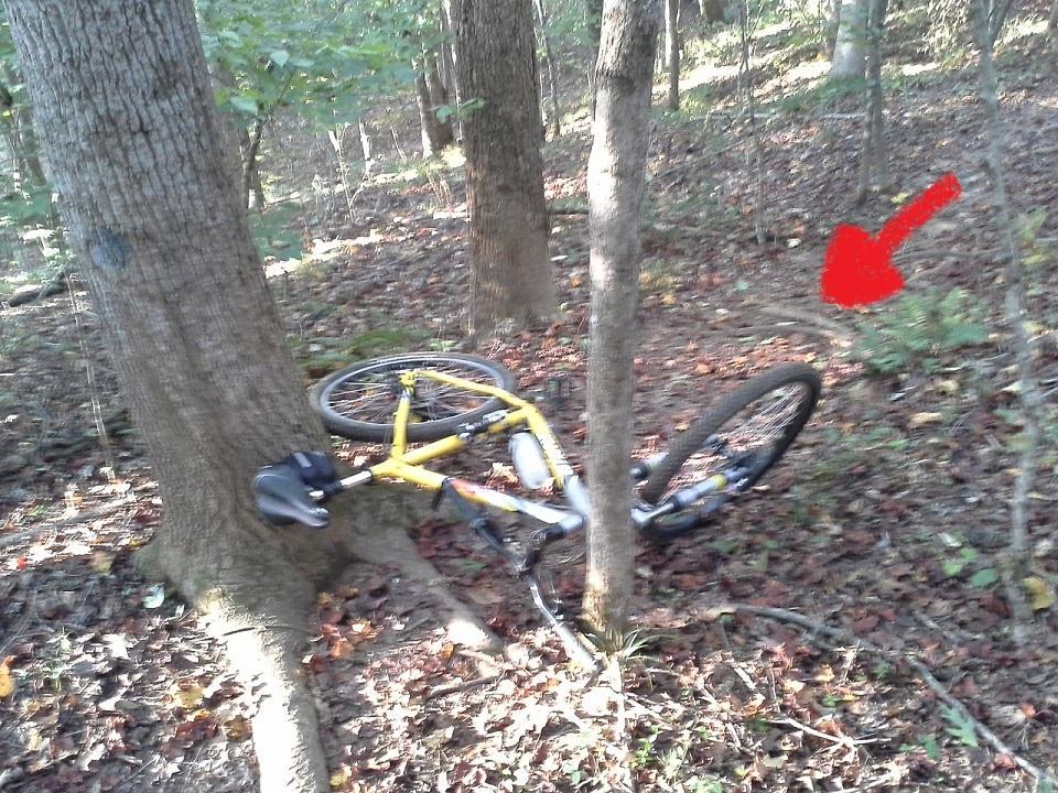 Giant Yukon: A yellow bicycle lies on its side among fallen leaves in a wooded area, leaning against a tree. A small bush is visible in the background, marked with a red arrow indicating its location.