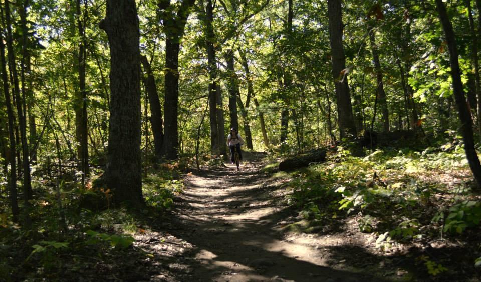 A person walking along a dirt path in a sunny wooded area, surrounded by tall trees and lush greenery. Sunlight filters through the leaves, creating a serene and inviting atmosphere. Cutler Park mountain bike trail.