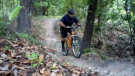 A mountain biker navigating a dirt trail in a lush forest, surrounded by trees and fallen leaves. The rider is wearing a helmet and is focused on the path ahead. Balm Boyette Scrub Preserve mountain bike trail.