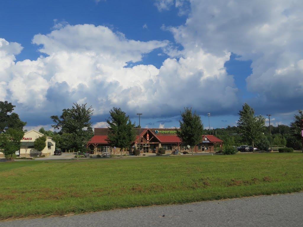A roadside view featuring a restaurant with a red roof and large windows surrounded by trees and grassy spaces, under a blue sky filled with white clouds. Nearby, another building with a sign is partially visible.