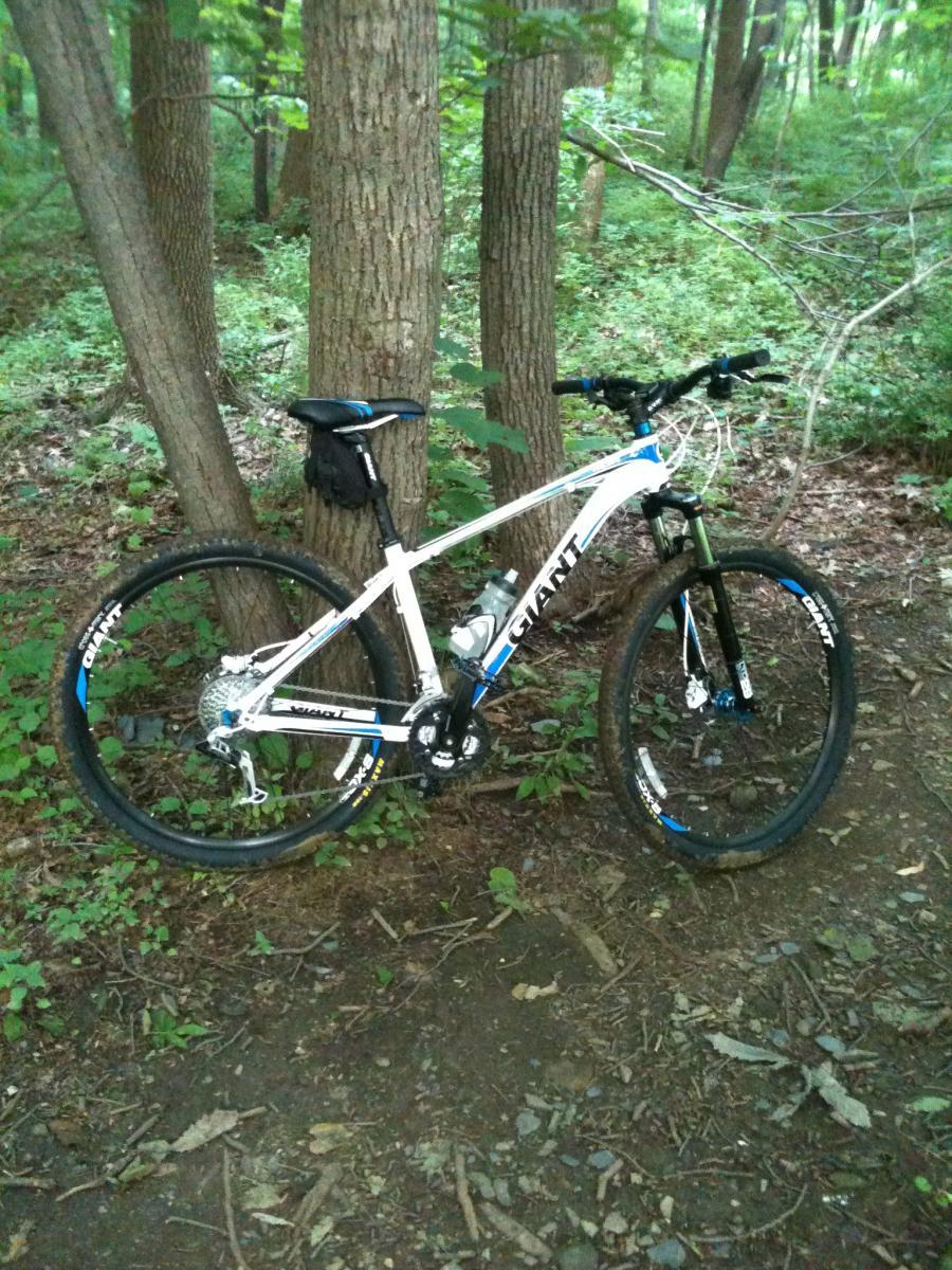 Giant Talon 29er: A mountain bike resting against two trees in a forested area, surrounded by greenery and dirt trails. The bike is mainly white with blue accents, and features knobby tires suitable for off-road riding.
