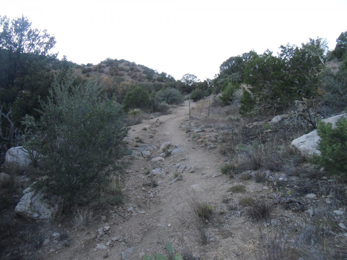 A winding dirt path through a mountainous area, surrounded by shrubs and rocky terrain, under a cloudy sky. Juan Tabo Basin mountain bike trail.