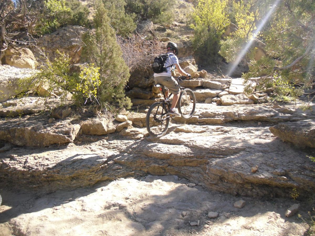 A person riding a mountain bike on a rocky trail surrounded by greenery, with sunlight filtering through trees. Palisade Rim mountain bike trail.