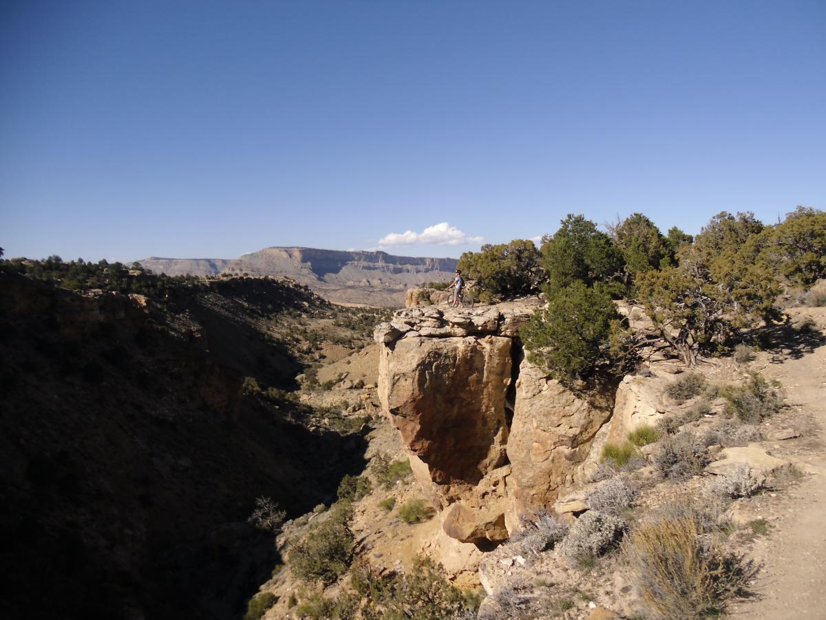 A rocky cliff overlooks a deep canyon, with arid landscape and scattered shrubs in the foreground. In the distance, a range of mountains can be seen under a clear blue sky, with a few white clouds. A person is standing on the edge of the cliff, enjoying the view. Palisade Rim mountain bike trail.