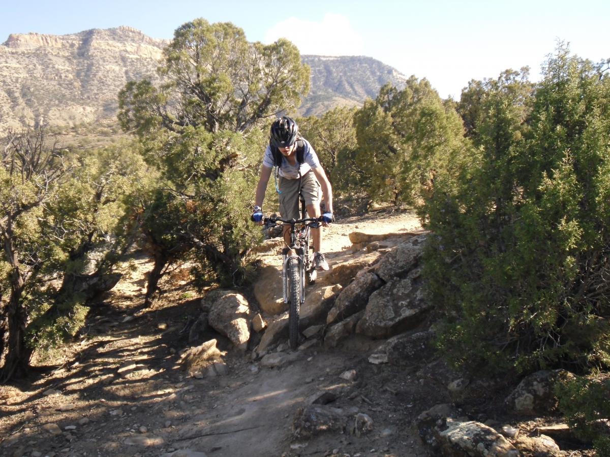 A mountain biker navigating a rocky trail surrounded by bushes and trees, with mountains in the background on a sunny day. Palisade Rim mountain bike trail.