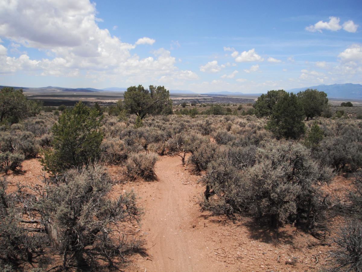 A scenic view of a rugged landscape featuring a dirt trail winding through sparse vegetation, including shrubs and small trees. The horizon showcases distant mountains under a partly cloudy sky. Taos Valley Overlook mountain bike trail.