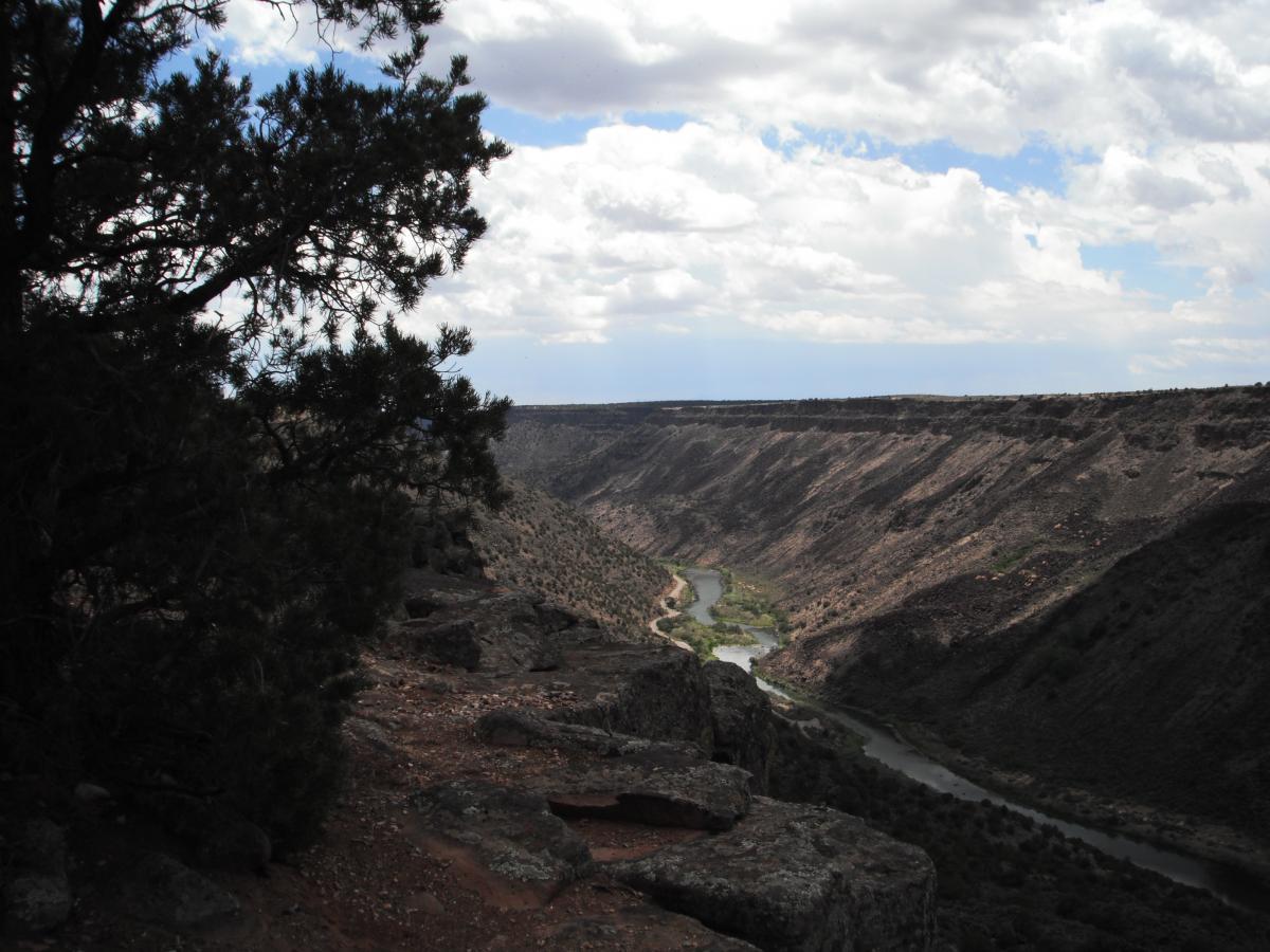 A panoramic view of a winding river flowing through a rugged canyon, surrounded by steep, rocky cliffs and scattered vegetation under a partly cloudy sky. The foreground features a tree branch partially obscuring the view, while the canyon stretches into the distance. Taos Valley Overlook mountain bike trail.