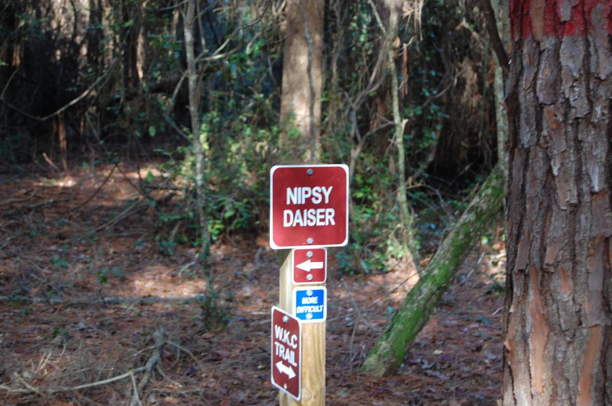 A trail sign in a wooded area with the words "Nipsy Daiser" at the top. Below it, there are directional arrows and a blue sign indicating "More Difficult" along with another sign labeled "W.K.C Trail." The surroundings are natural, with trees and underbrush visible. Tillie Fowler Regional Park mountain bike trail.