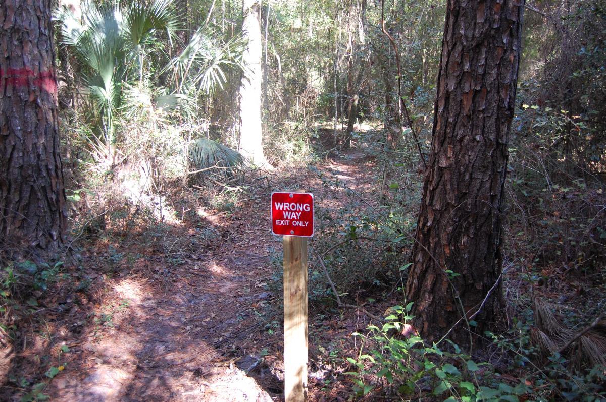 A wooded path showing a red sign that reads "WRONG WAY EXIT ONLY," positioned on a wooden post amid tall trees and dense underbrush. Tillie Fowler Regional Park mountain bike trail.